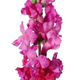 Löwenmäulchen (Antirrhinum) XL mit 17 Polyesterblüten, 16 beflockten Knospen und 8 Blättern, 93 cm