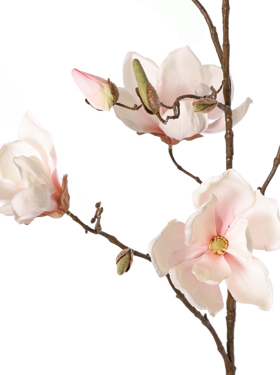 Magnolia (árbol de castor) 5x ramificado, 7 flores, 3 capullos grandes y 9 pequeños, 107 cm