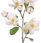 Magnolienzweig XL, großblütig, 4 Blüten, 3 Blütenknospen, 3 Knospen und 8 Blätter, 91 cm