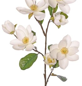 Rama de magnolia (árbol de castor) XL, flores grandes, 4 flores, 3 capullos, 3 brotes y 8 hojas, 91 cm