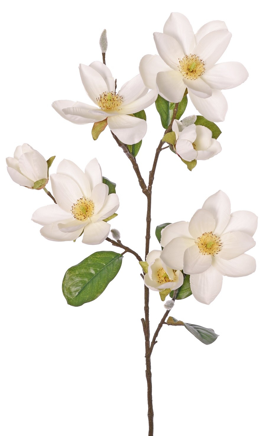Magnolia branch (Beaver tree) XL, large-flowered, 4 flowers, 3 flower buds, 3 buds & 8 leaves, 91 cm