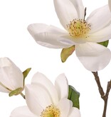 Rama de magnolia (árbol de castor) XL, flores grandes, 4 flores, 3 capullos, 3 brotes y 8 hojas, 91 cm