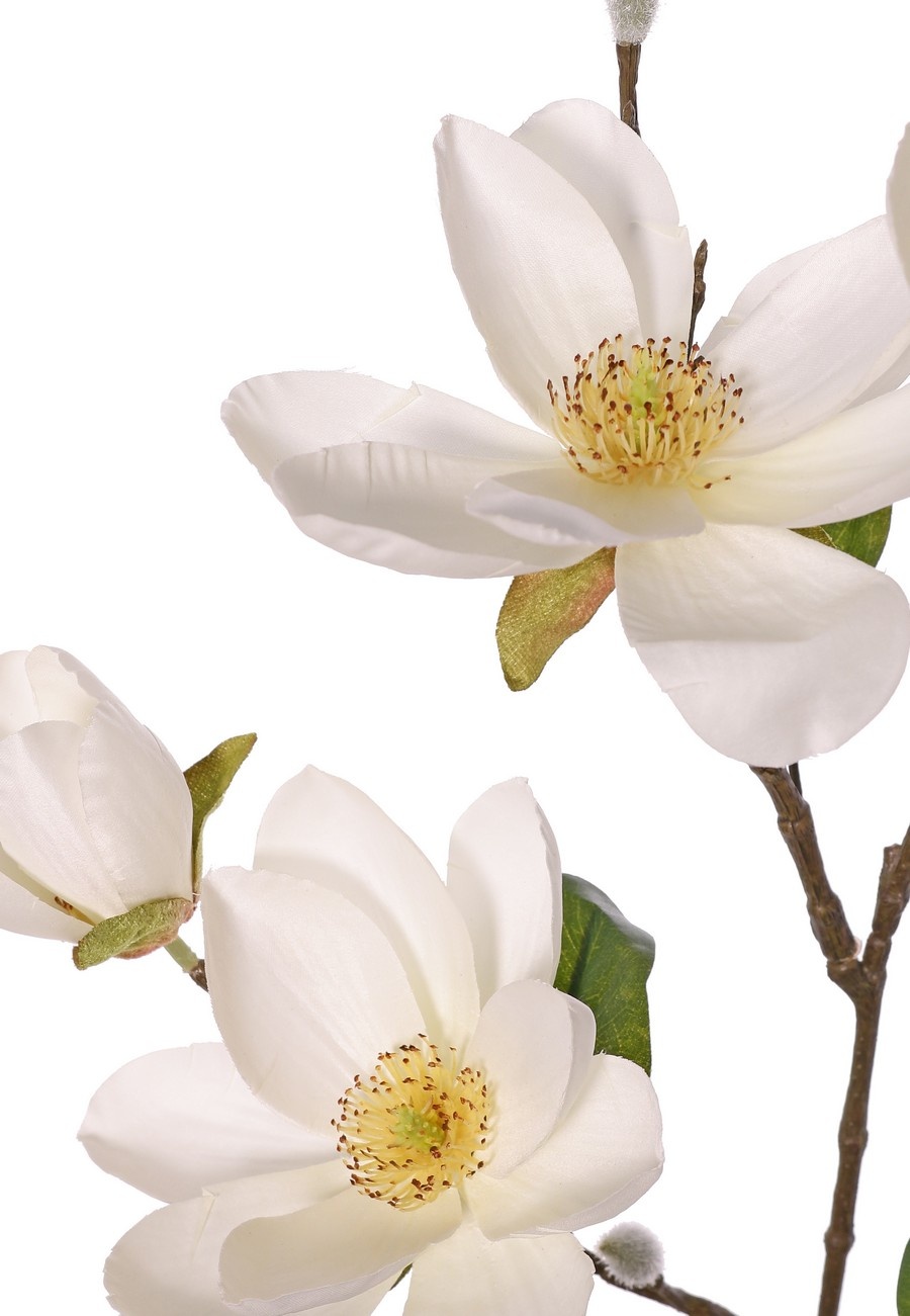 Magnolienzweig XL, großblütig, 4 Blüten, 3 Blütenknospen, 3 Knospen und 8 Blätter, 91 cm