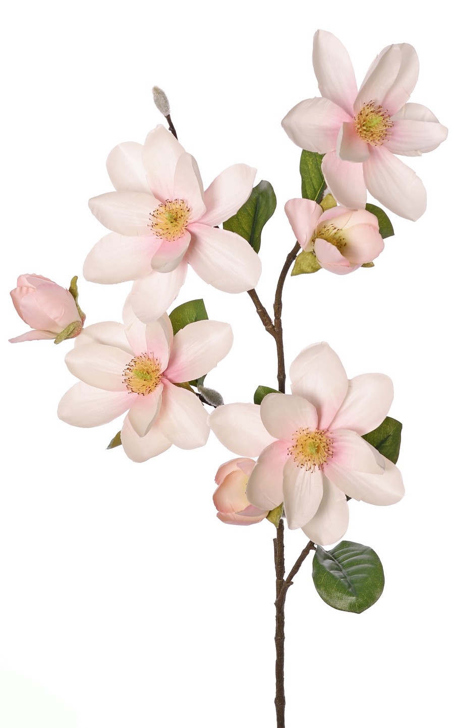 Magnolienzweig XL, großblütig, 4 Blüten, 3 Blütenknospen, 3 Knospen und 8 Blätter, 91 cm