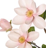 Magnolia branch (Beaver tree) XL, large-flowered, 4 flowers, 3 flower buds, 3 buds & 8 leaves, 91 cm -