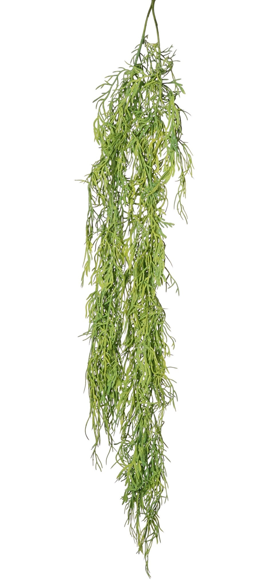 Farn-Hängepflanze 'Greens', 2-fach verzweigt mit 41 Blattbüscheln, 112 cm