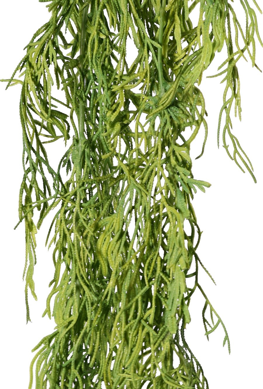 Helecho colgante 'Greens' 2x ramificado con 41 racimos de hojas, 112 cm