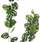 Monkey leaf slinger (Monstera) met 37 PE bladeren (31 L/ 6 S), 180 cm