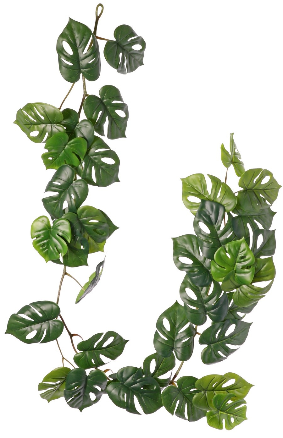 Monkey leaf slinger (Monstera) met 37 PE bladeren (31 L/ 6 S), 180 cm