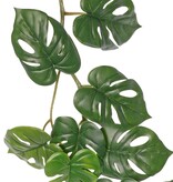 Monkey leaf slinger (Monstera) met 37 PE bladeren (31 L/ 6 S), 180 cm