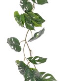 Monstera-Blattgirlande (Monstera) mit 37 PE-Blättern (31 L/ 6 S), 180 cm