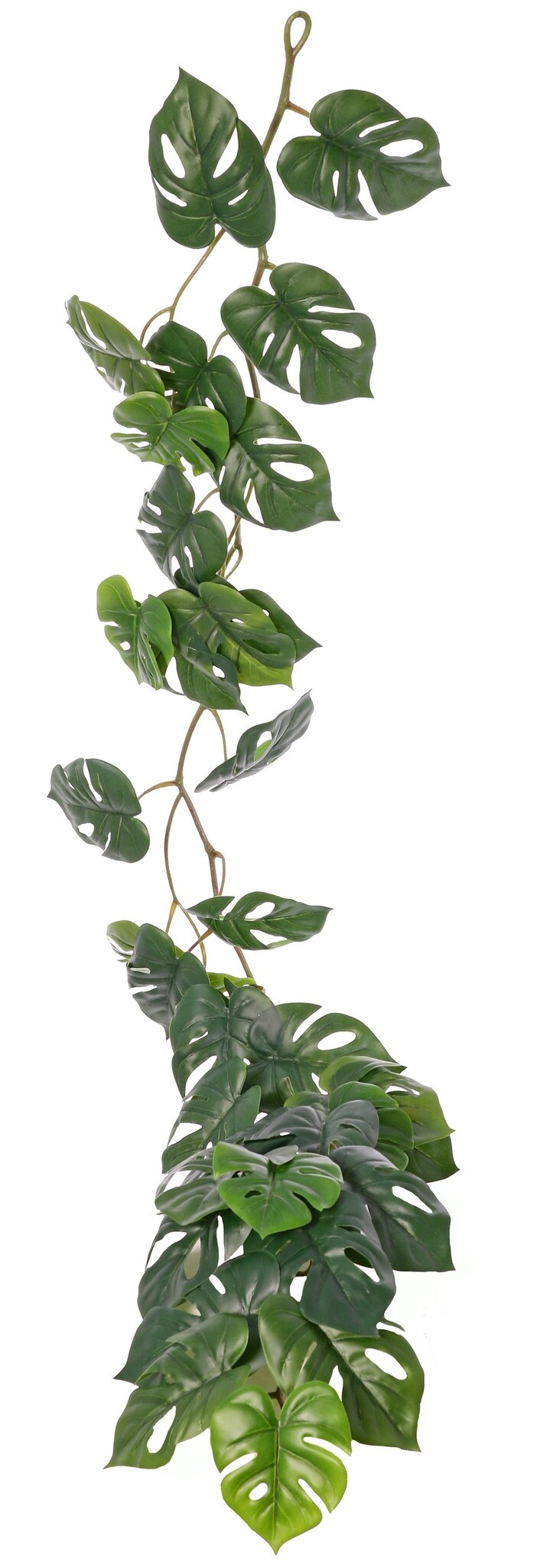 Monkey leaf garland (Monstera) with 37 PE leaves (31 L/ 6 S), 180 cm