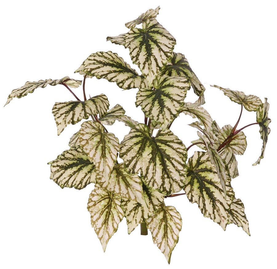 Begonia rex (King Begonia) 7 shoots with 33 polyester leaves, approx. Ø 40 cm, fire retardant