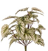 Begonia rex (Königsbegonie), 7 Triebe mit 33 Polyesterblättern, ca. Ø 40 cm, schwer entflammbar