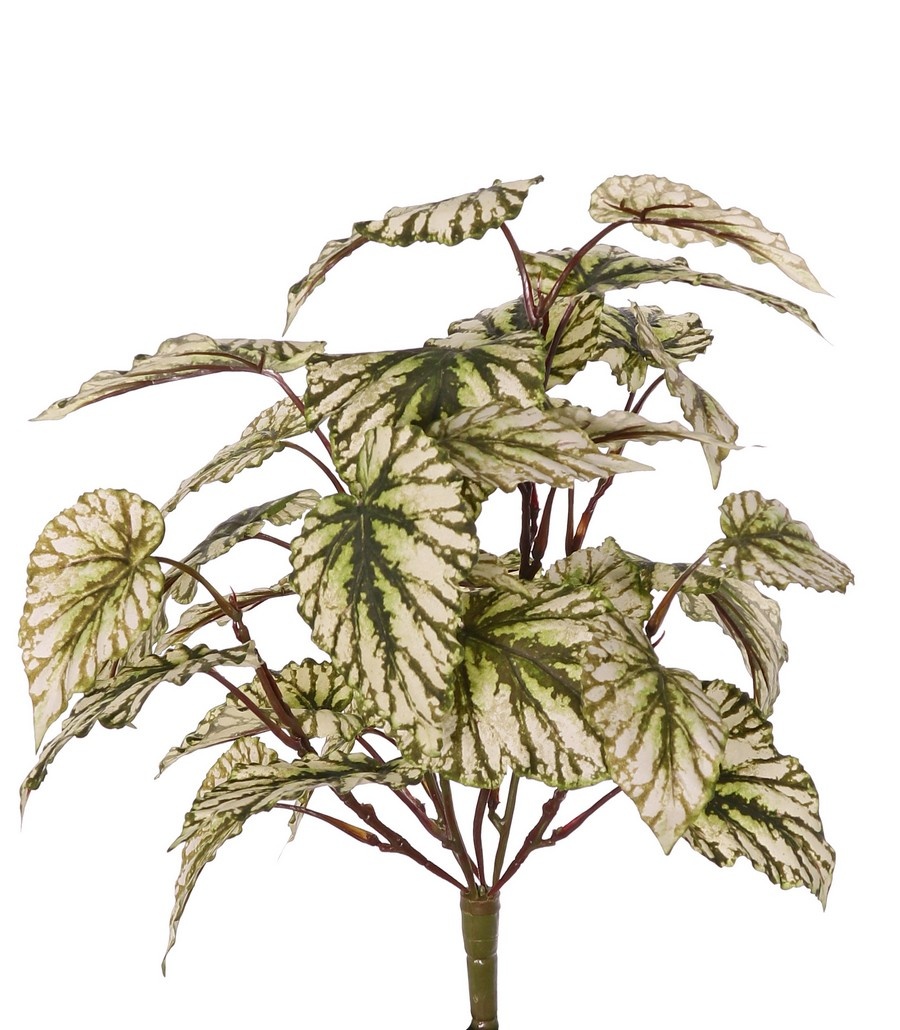 Begonia rex (Begonia real) 7 brotes con 33 hojas de poliéster, aprox. Ø 40 cm, ignífuga