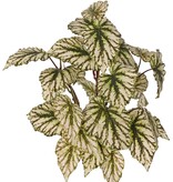 Begonia rex (Begonia real) 7 brotes con 33 hojas de poliéster, aprox. Ø 40 cm, ignífuga