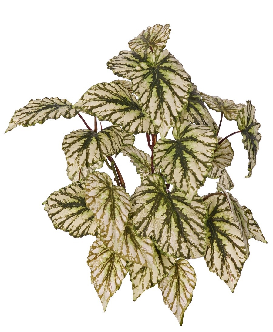 Begonia rex (Begonia real) 7 brotes con 33 hojas de poliéster, aprox. Ø 40 cm, ignífuga