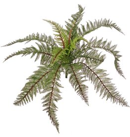 Helecho acicular (Polystichum) con 13 hojas y 2 brotes, totalmente plástico, 58 cm