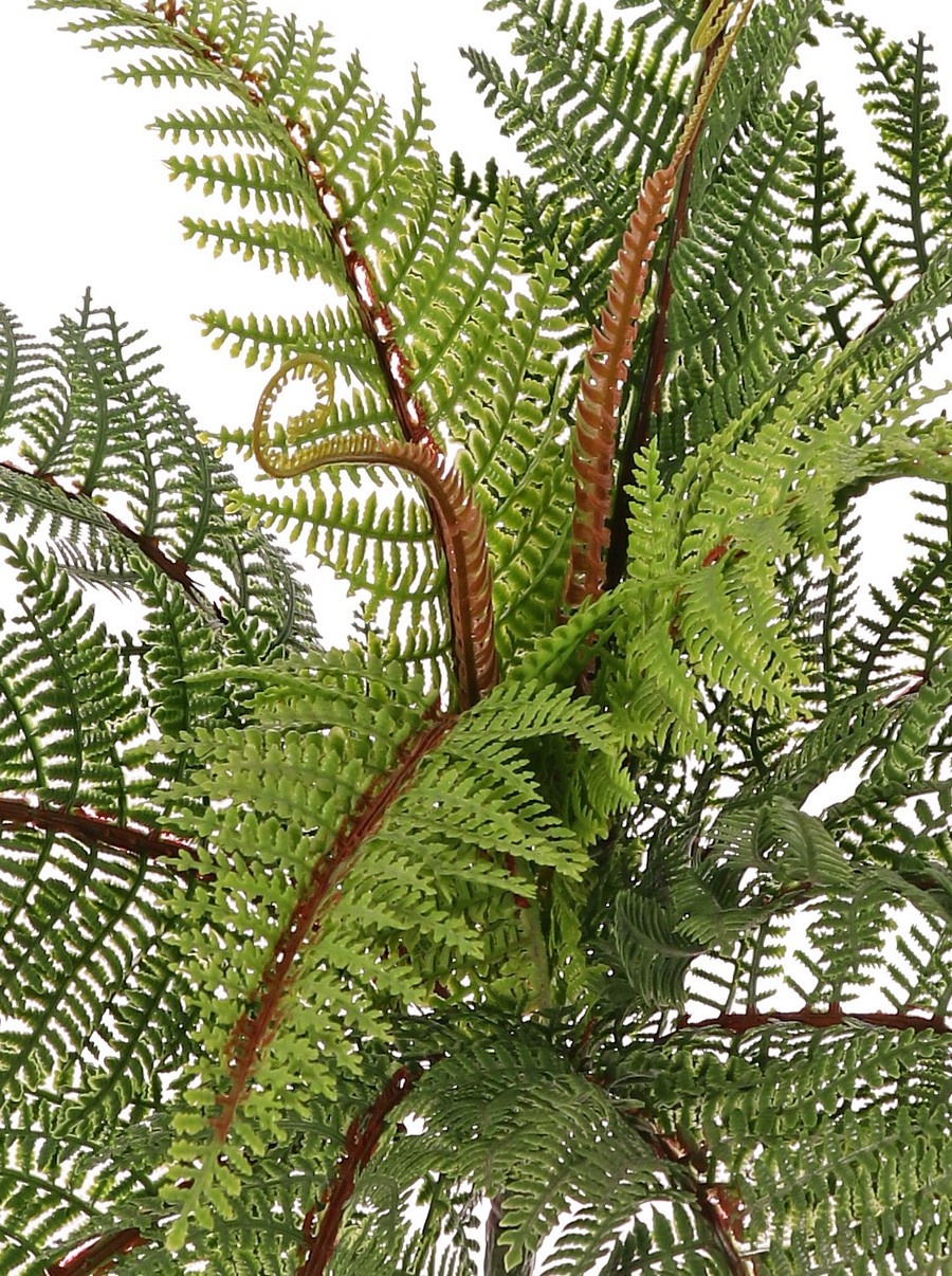 Needle fern (Polystichum) with 13 leaves & 2 shoots, fully plastic, 58 cm