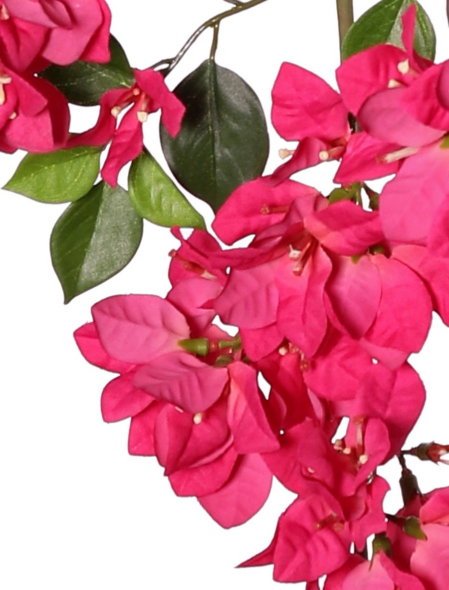 Bougainvillea spectabilis rama colgante, 140 flores compuestas y 40 hojas, 85 cm, ignífugo
