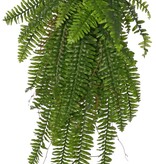 Helecho 'Boston' (Nephrolepsis) colgante MAXI, con 33 hojas y ramitas de madera, 90 cm