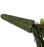 Hängefarn 'Boston' (Nephrolepsis) MAXI, mit 33 Blättern und Holzzweigen, 90 cm