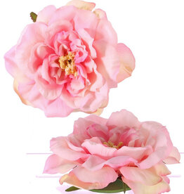 Rosehead (Rosa) open, "Floating Flora", Ø 15cm, foam base