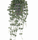 Ceropegia (Leuchterblumen) 258 Blätter, UV-sicher und schwer entflammbar, 70 cm