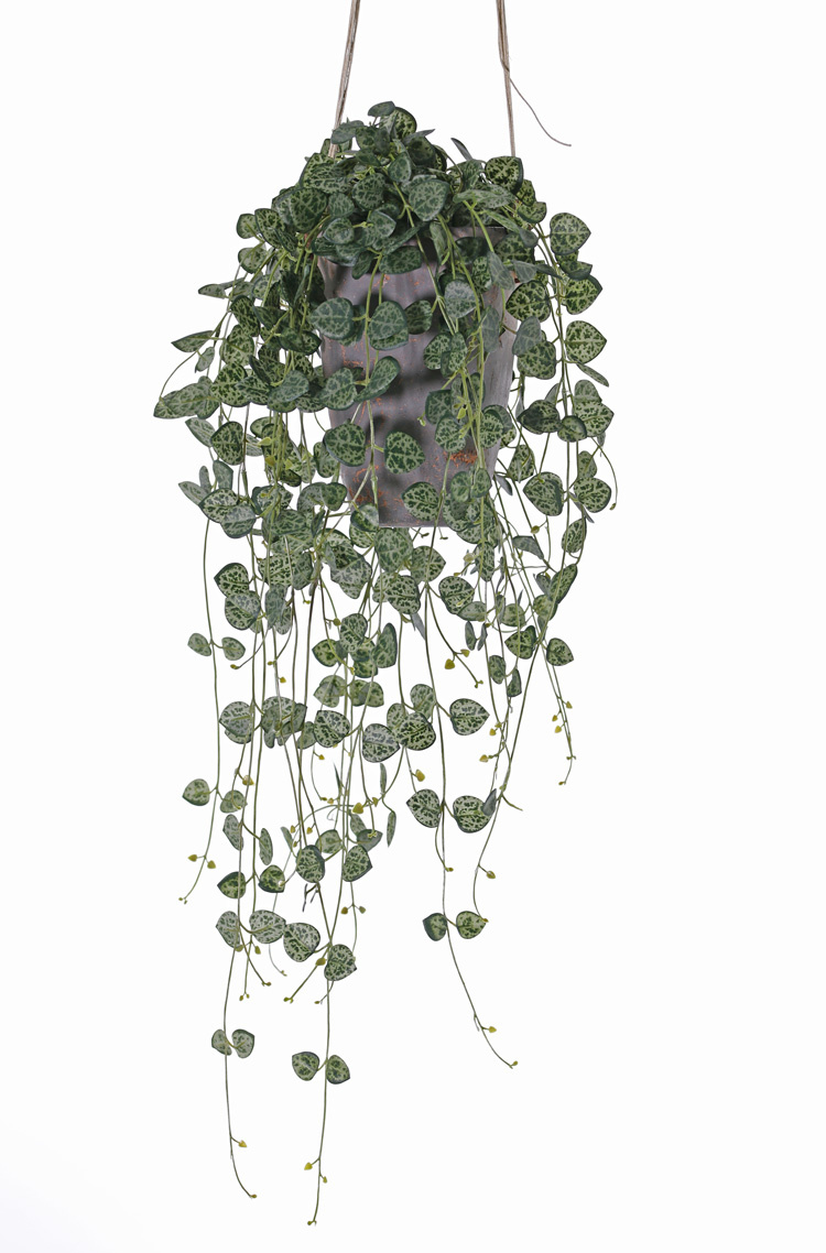 Ceropegia (Chinees lantaarnplantje) 258 blaadjes, UV bestendig en brandvertragend, 70 cm