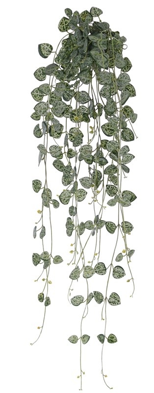 Ceropegia (string of hearts, chain of hearts) 258 leaves, UV safe and fire retardant, 70 cm