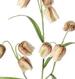Fritillaria, 3 Zweige mit 9 Blüten (4 x 3 cm) und 4 Blättern, 70 cm