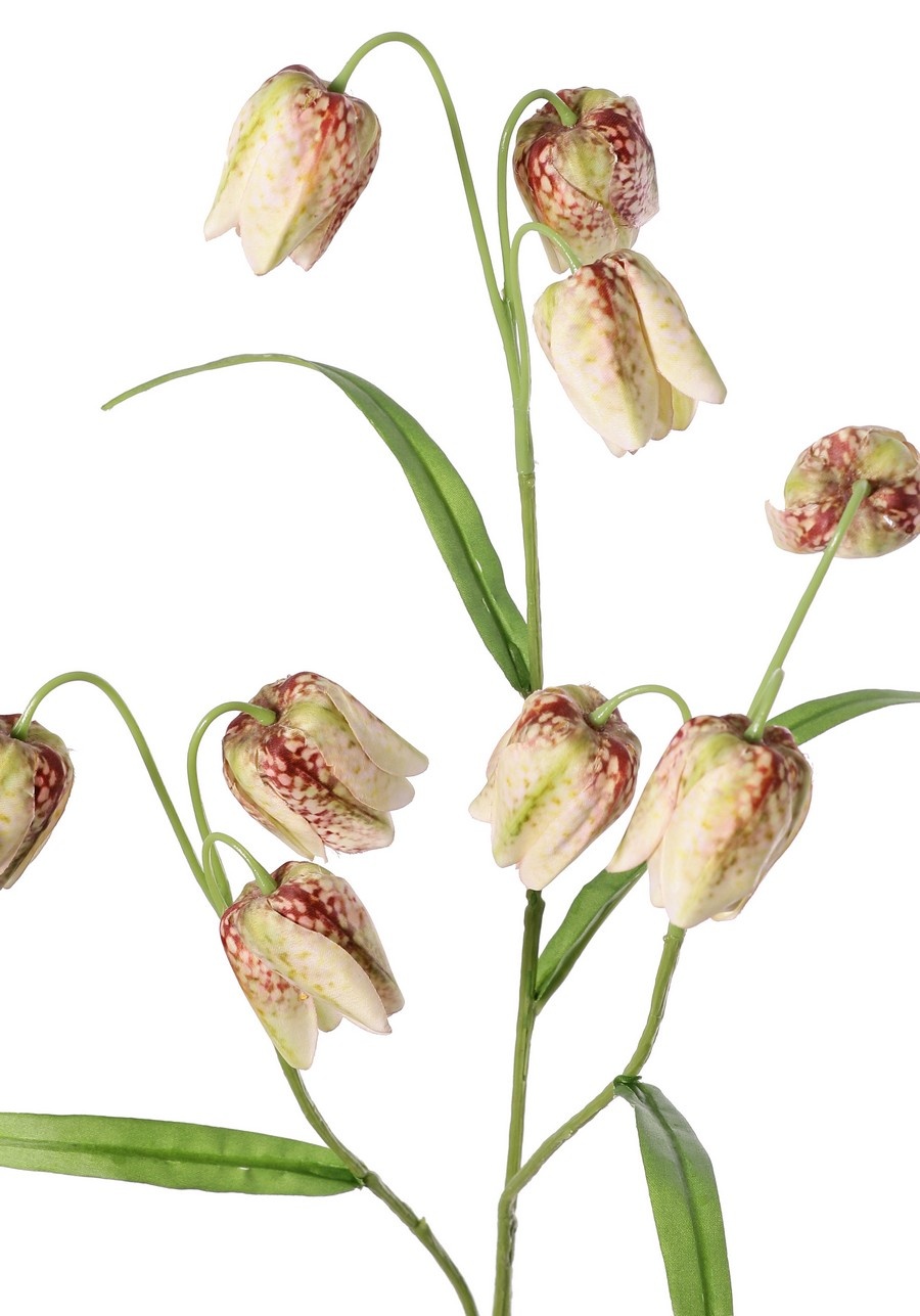 Fritillaria 3 branches with 9 flowers (4X3 cm) & 4 leaves, 70 cm