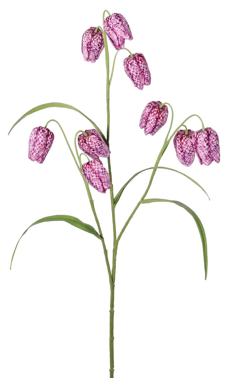 Fritillaria, 3 ramas con 9 flores (4X3 cm) y 4 hojas, 70 cm