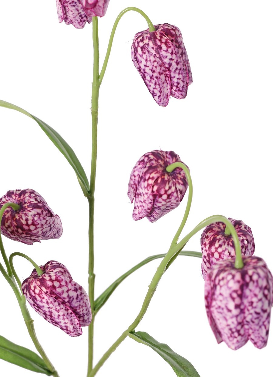 Fritillaria (Kievitsbloem) 3 vertakkingen met 9 bloemen (4X3 cm) & 4 blaadjes, 70 cm