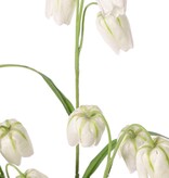 Fritillaria 3 branches with 9 flowers (4X3 cm) & 4 leaves, 70 cm