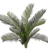 Cycas revoluta (Peace Palm) with 11 plastic leaves, H 50cm, Ø 50cm