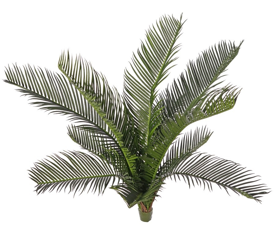 Cycas revoluta (Friedenspalme) mit 11 Kunststoffblättern, Höhe 50 cm, Durchmesser 50 cm
