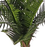 Cycas revoluta (Peace Palm) with 11 plastic leaves, H 50cm, Ø 50cm