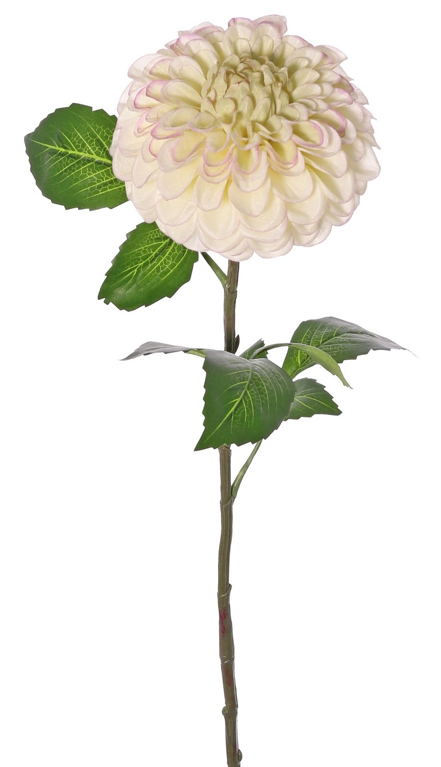 Dalia (forma de bola) 'Belleza en flor' con 1 flor (Ø 13 cm) y 9 hojas (3 juegos), 73 cm - RECICLADO