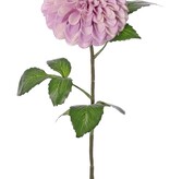 Dahlie (Kugelform) 'Beauty in bloom' mit 1 Blüte (Ø 13 cm) und 9 Blättern (3 Blattpaare), 73 cm - RECYCELT