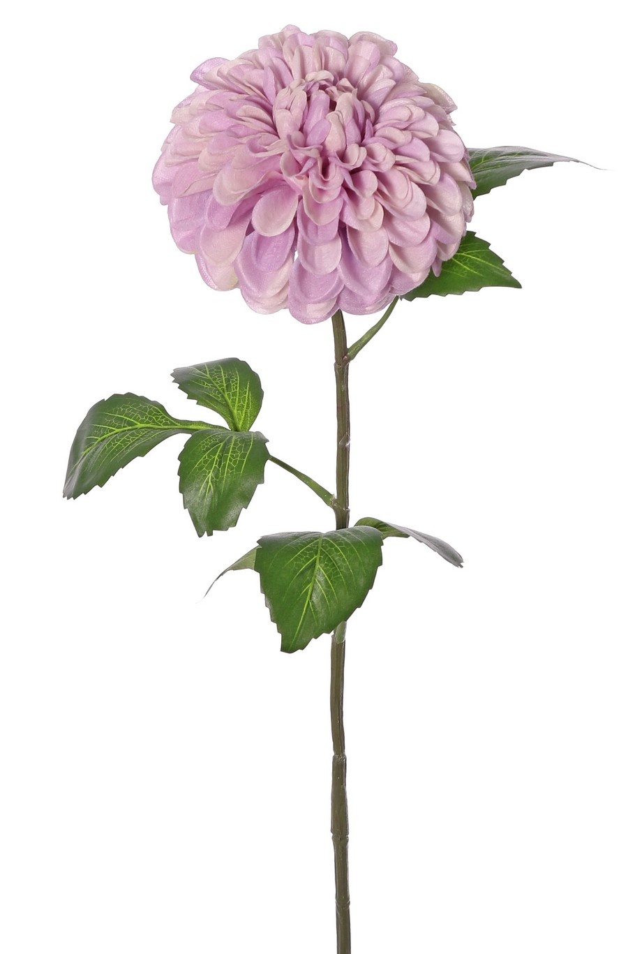 Dahlia (ball shape) 'Beauty in bloom' met 1 bloem (Ø 13 cm) & 9 bladeren (3 sets), 73 cm - RECYCLED