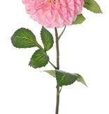 Dahlia (ball shape) 'Beauty in bloom' with 1 flower (Ø 13 cm) & 9 leaves (3 sets), 73 cm - RECYCLED