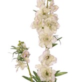Delphinium (Larkspur) 'Beauty in Bloom' 2x branched, 11 flowers, 4 buds & 7 sets of leaves, 93 cm - RECYCLED