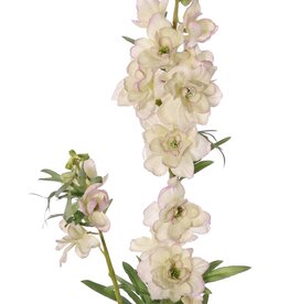Delphinium (Larkspur) 'Beauty in Bloom' 2x branched, 11 flowers, 4 buds & 7 sets of leaves, 93 cm - RECYCLED