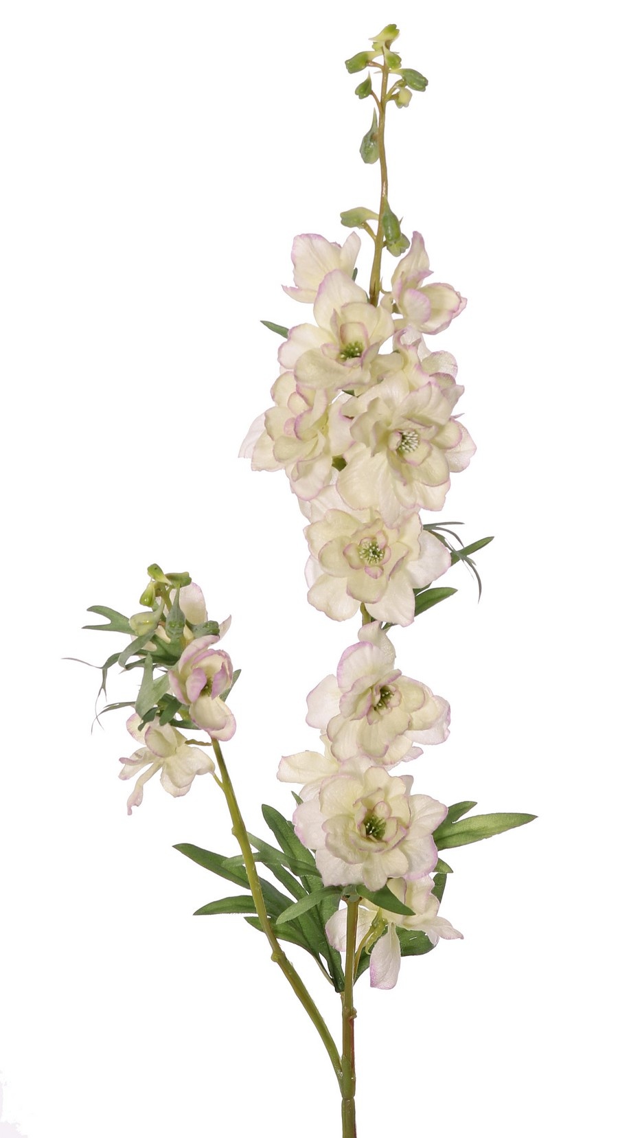 Delphinium (Larkspur) 'Beauty in Bloom' 2x branched, 11 flowers, 4 buds & 7 sets of leaves, 93 cm - RECYCLED