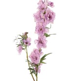 Delphinium (Larkspur) 'Beauty in Bloom' 2x branched, 11 flowers, 4 buds & 7 sets of leaves, 93 cm - RECYCLED