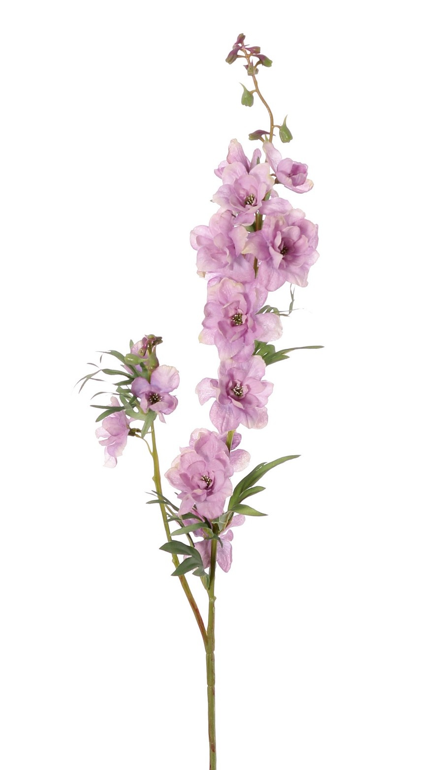 Delphinium 'Beauty in Bloom', 11 flores, 4 capullos y 7 pares de hojas, 93 cm - RECICLADO