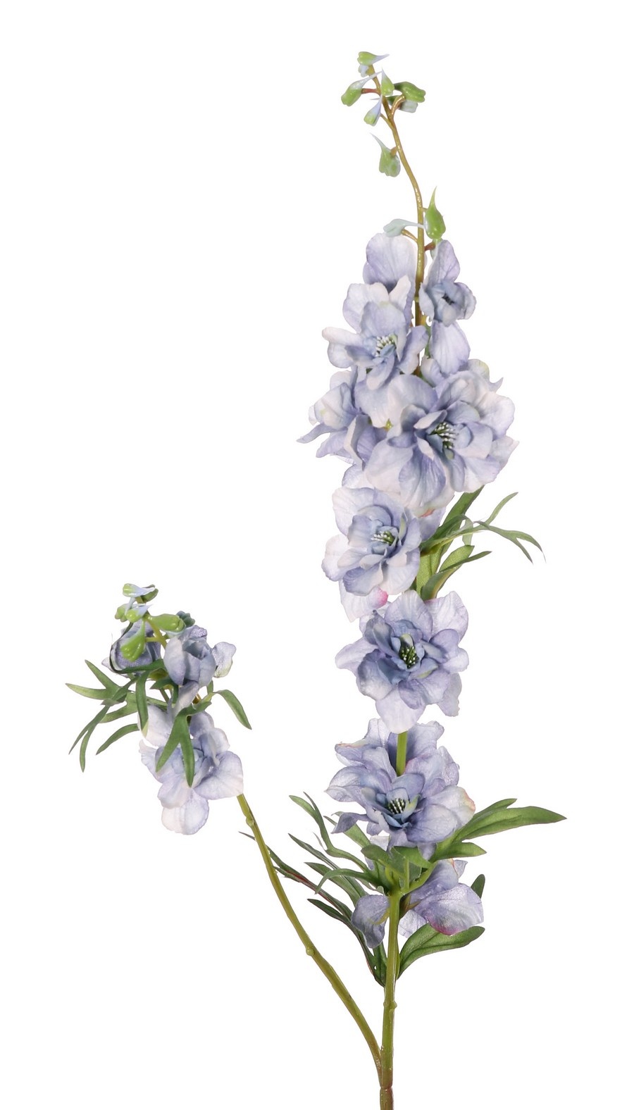 Delphinium 'Beauty in Bloom', 11 flores, 4 capullos y 7 pares de hojas, 93 cm - RECICLADO