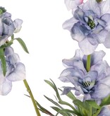 Rittersporn 'Beauty in Bloom', 2-fach verzweigt, 11 Blüten, 4 Knospen und 7 Blattpaare, 93 cm - RECYCELT