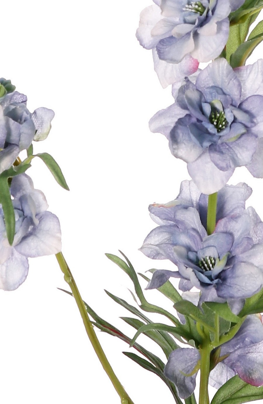 Delphinium 'Beauty in Bloom', 11 flores, 4 capullos y 7 pares de hojas, 93 cm - RECICLADO